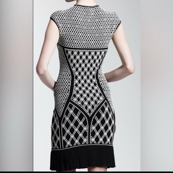 Alexander McQueen Jaquard Intarsia Dress - Picture 3 of 13